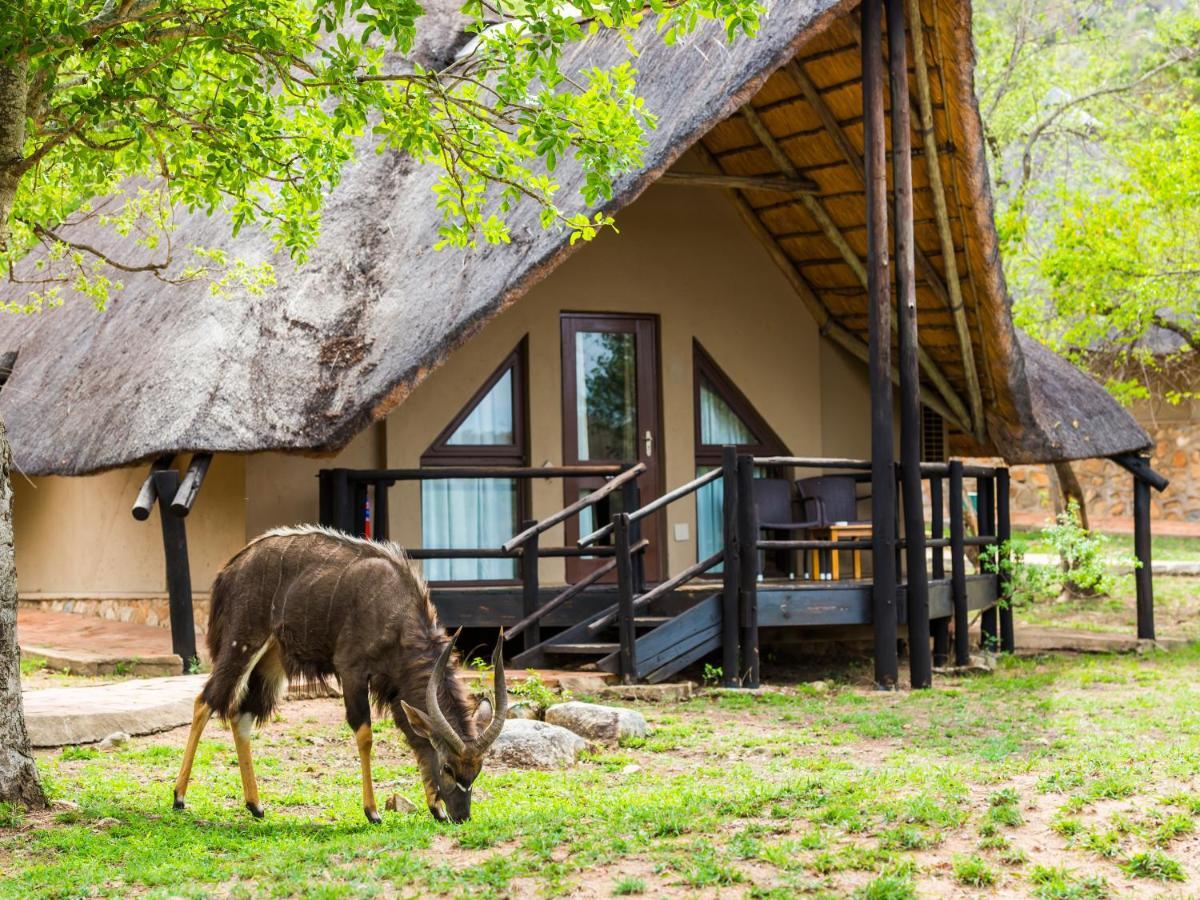 Aha Bongani Mountain Lodge Luphisi Екстер'єр фото